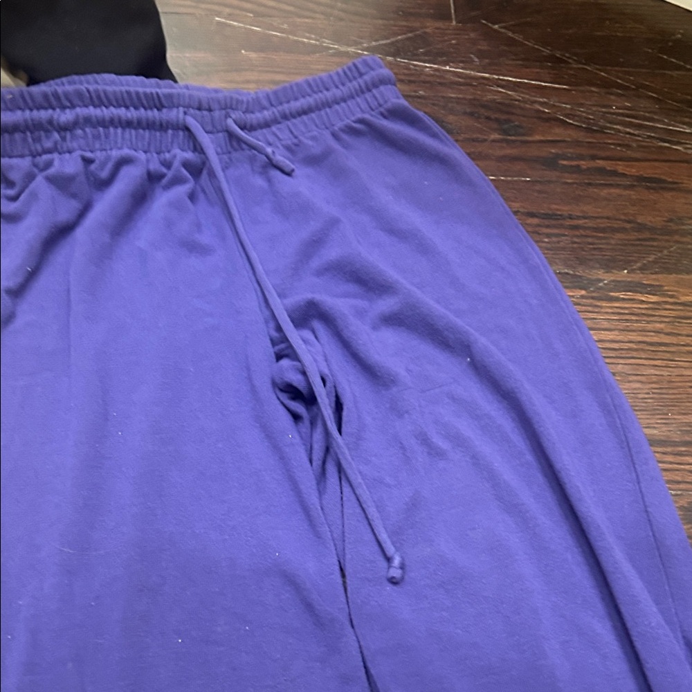 Aritzia Purple Pants
